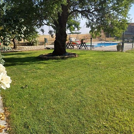 El Almendro Del Cura Villa Villarmayor  Ngoại thất bức ảnh