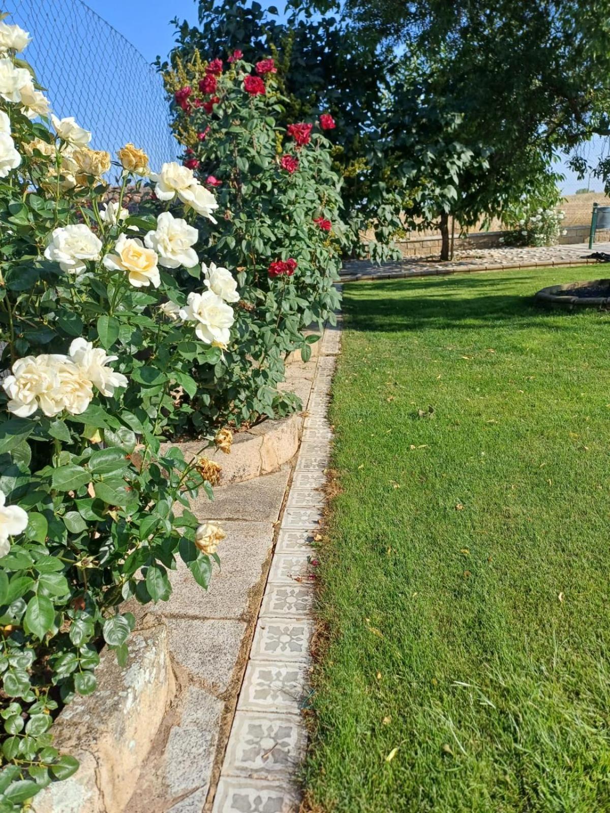 El Almendro Del Cura Villa Villarmayor  Ngoại thất bức ảnh