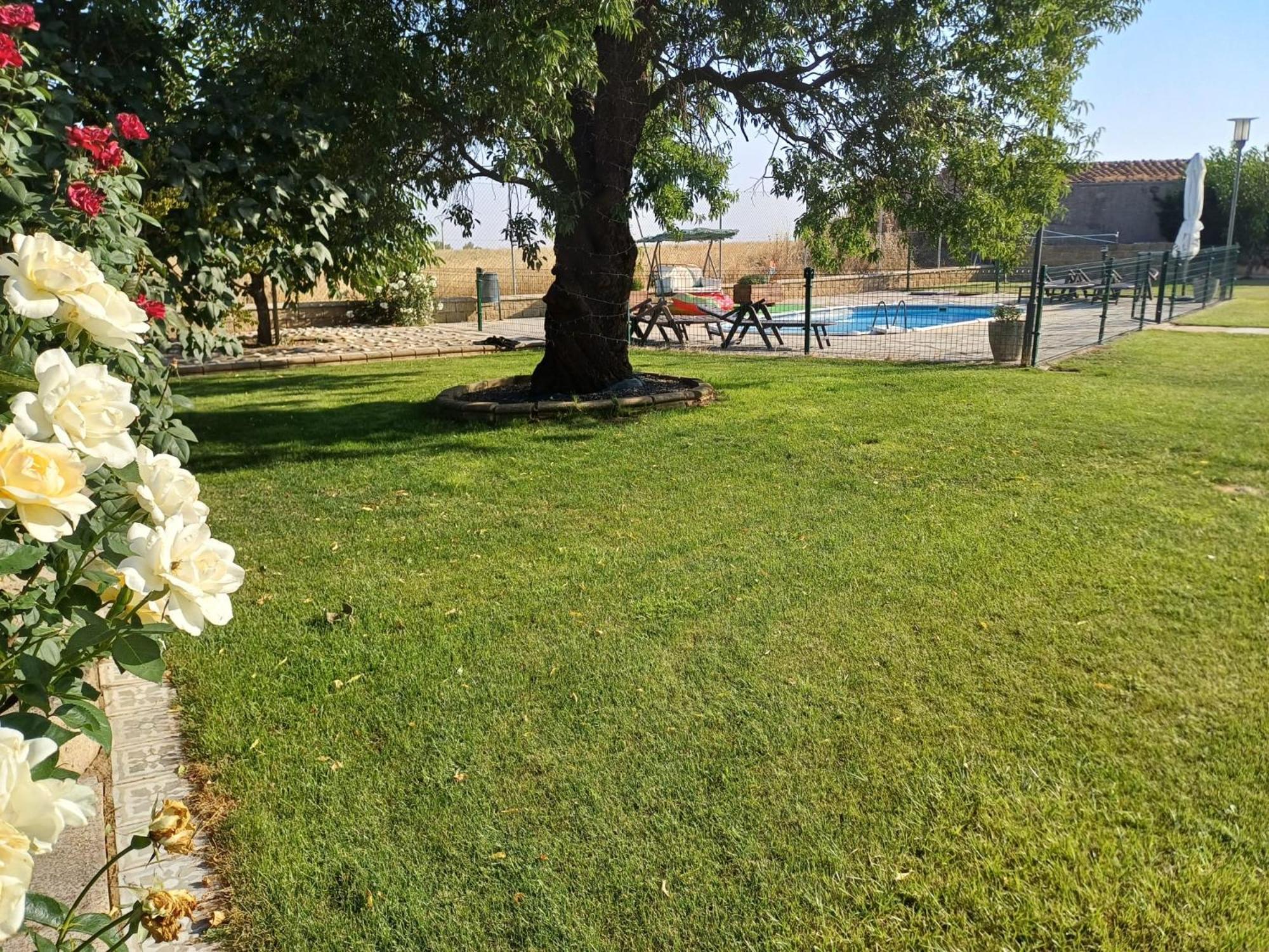 El Almendro Del Cura Villa Villarmayor  Ngoại thất bức ảnh