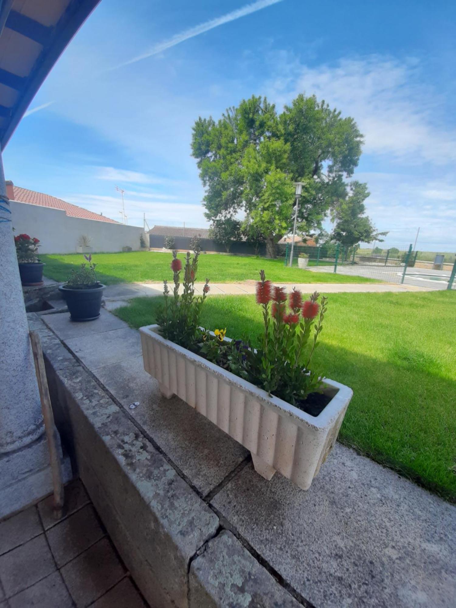 El Almendro Del Cura Villa Villarmayor  Ngoại thất bức ảnh